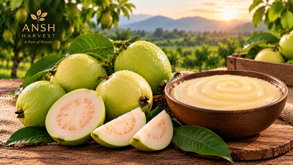 Fresh guavas, whole and cut, with a bowl of guava pulp